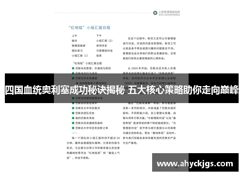 四国血统奥利塞成功秘诀揭秘 五大核心策略助你走向巅峰