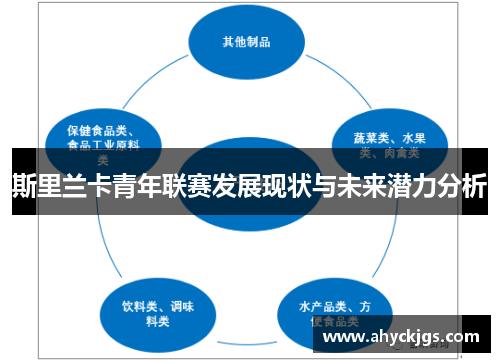 斯里兰卡青年联赛发展现状与未来潜力分析