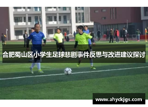 合肥蜀山区小学生足球悲剧事件反思与改进建议探讨