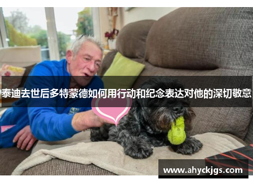 泰迪去世后多特蒙德如何用行动和纪念表达对他的深切敬意