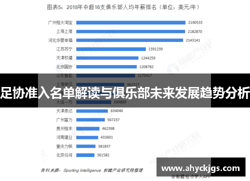 足协准入名单解读与俱乐部未来发展趋势分析