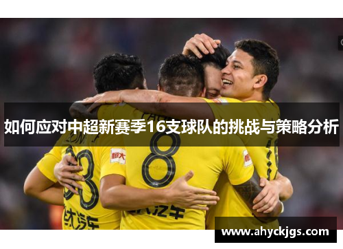 如何应对中超新赛季16支球队的挑战与策略分析